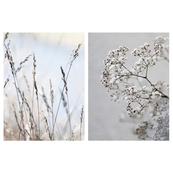 PJÄTTERYD white floral prints on canvas, deep frame, soft focus, delicate flowers, natural colour.