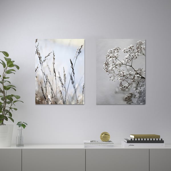 Modern shelf with white PJÄTTERYD frames against a grey wall, displaying floral motifs, potted plant, books, and decor.