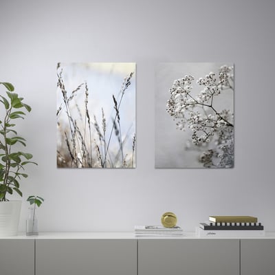 Modern shelf with white PJÄTTERYD frames against a grey wall, displaying floral motifs, potted plant, books, and decor.
