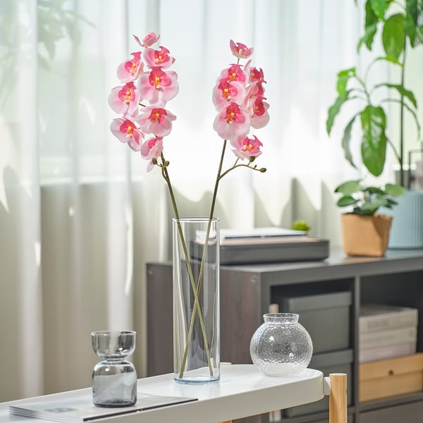 Small clear vase with pink orchid flowers, larger clear vase and round glass holder on table, amidst books and green plant.