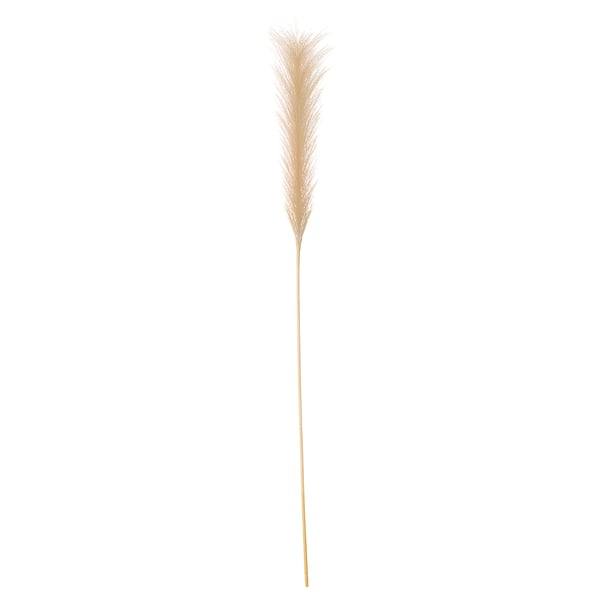 Beige pampas grass plant, SMYCKA series, feathery plumes, recycled materials