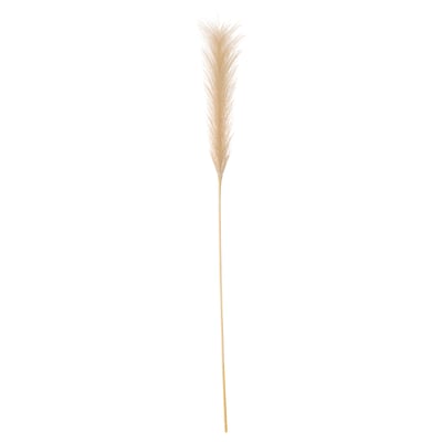 Beige pampas grass plant, SMYCKA series, feathery plumes, recycled materials