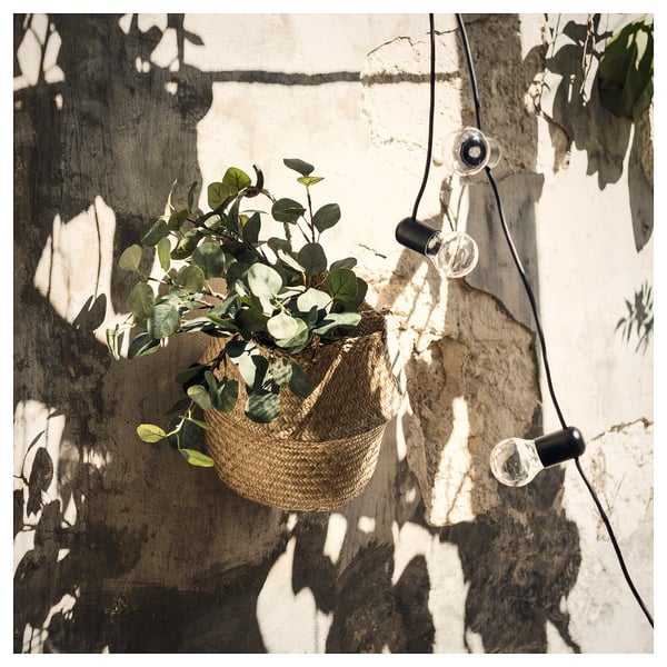Hanging brown basket with green plants, wall lights.