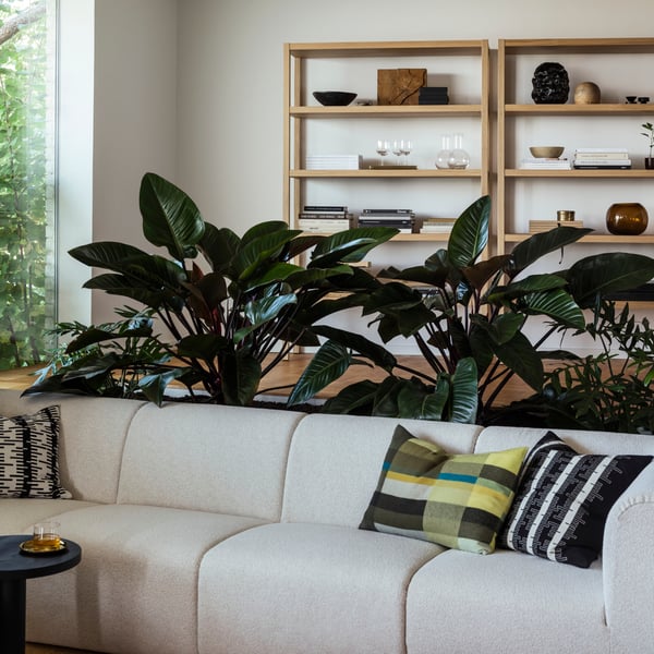 White sofa, striped pillows, plants, bookshelves, wooden floor, glass doors to greenery.