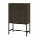 STOCKHOLM 2025 cabinet, dark brown, wooden with brass key, rectangular, two doors, standing on four metal legs.