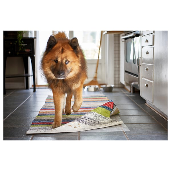 Fluffy dog on colourful striped rug near kitchen.