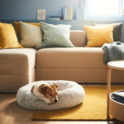 Dog bed in living room, cosy with high edge, next to large beige sectional with colourful pillows.