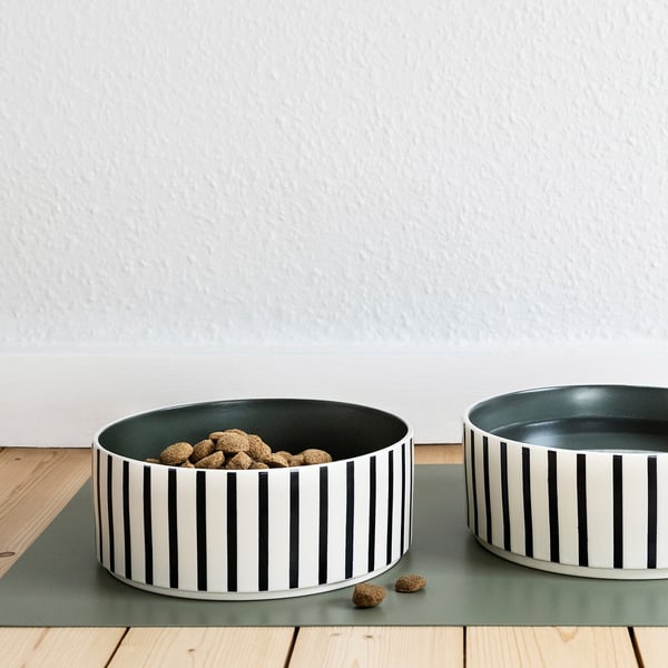 Dog bowls with food and water on a mat, striped, durable, for large dogs.