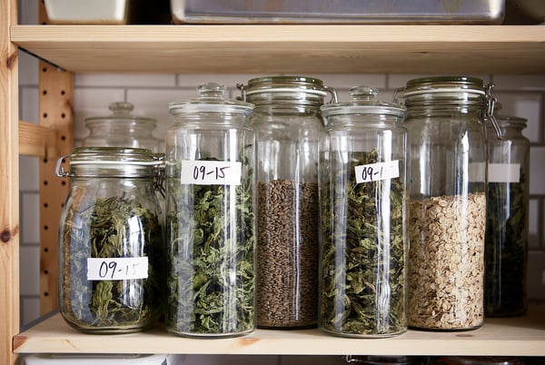 Wooden shelf with six clear glass jars holding dried herbs and grains, labelled with dates.