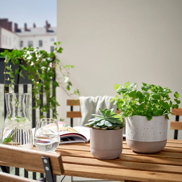 Roosad ja valged potid sukulentidega õuelaual