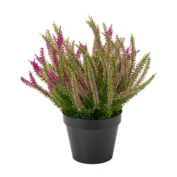 FEJKA Kunsttaim potis, tuppa/õue/kanarbik lilla, 12 cm