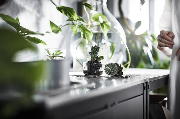 Väike valge väliköök valamu ja riiuliga, roostevaba teras, kaktustaimed, sise- ja välistingimustes kasutamiseks.