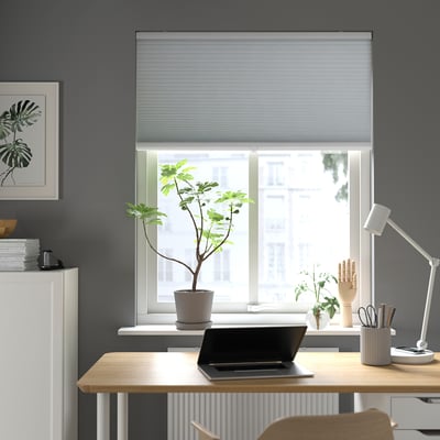 Kaasaegne kontor TRIPPEVALS ruloode, puidust kirjutuslaua, taimede, lambi, tumedate seinte, minimalistliku disainiga.