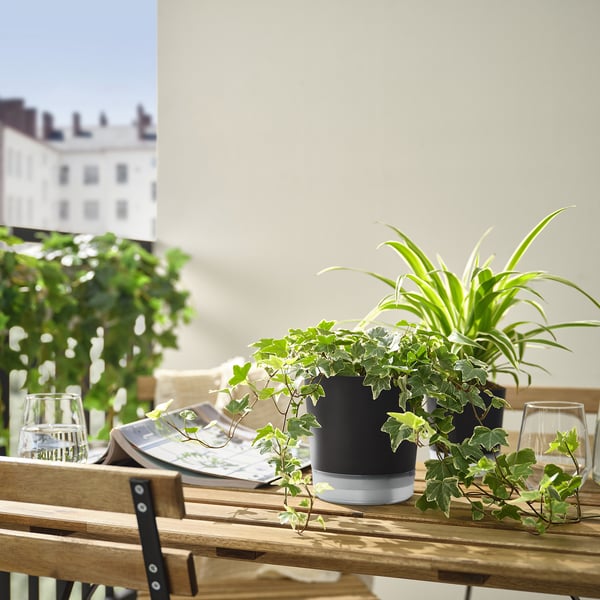 Kaks klaasidega potitaime terrassilaual, hoone lähedal.