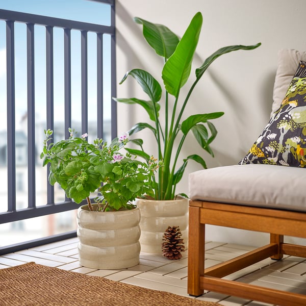 HASSELBUKETT وعاء نباتات, داخلي/خارجي/بيج, 19 سم