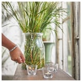 HEDERSAM شمع صغير معطّر, عشب طازج/أخضر فاتح, 3.5 س
