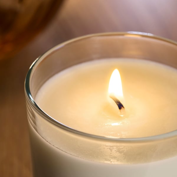 LOTSFÅGEL شمعة معطرة في كأس, فانيلا بيج فاتح, 40 س