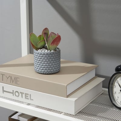 BÄCKDRÅG Plant pot, fish scale patterned/white grey, 6 cm