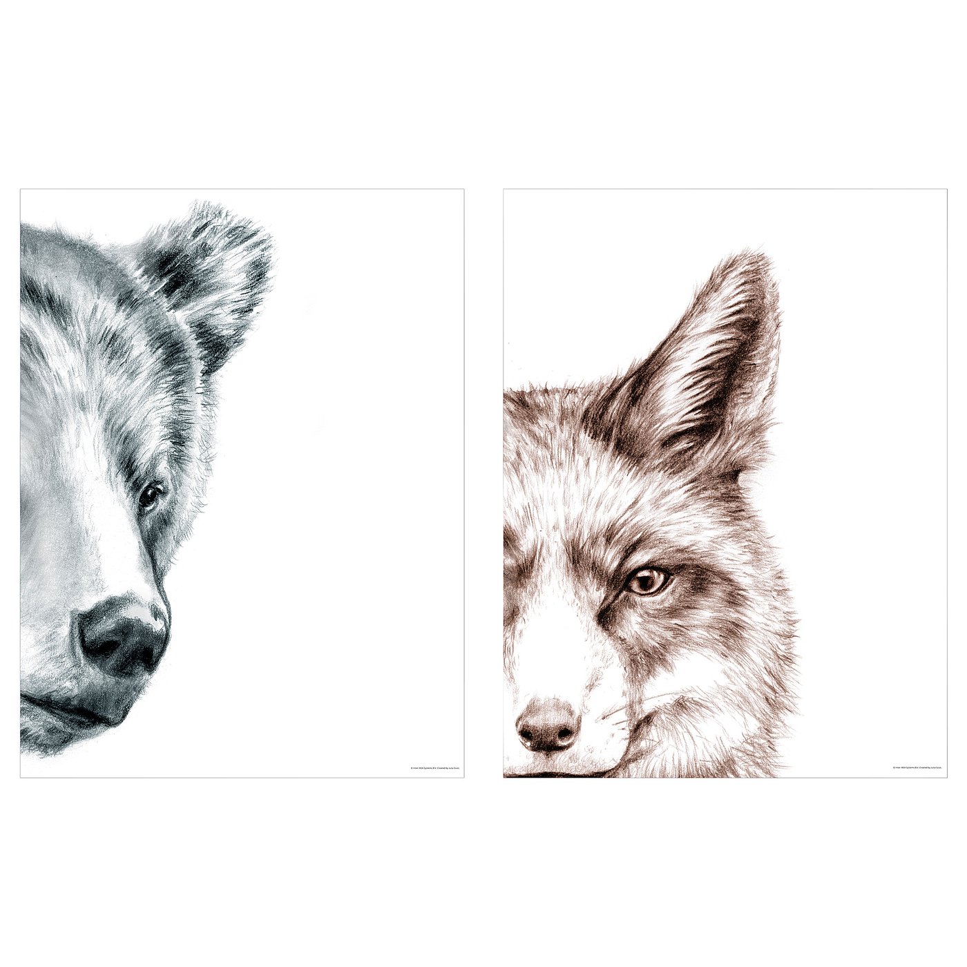 Two detailed drawings of wolves, one in blue and one in brown, facing slightly left on white background.