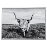 BJÖRKSTA Picture with frame, curious cow/aluminium-colour, 140x100 cm
