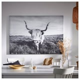 BJÖRKSTA Picture with frame, curious cow/aluminium-colour, 140x100 cm