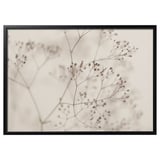 BJÖRKSTA Picture with frame, flowers-close up/black, 140x100 cm