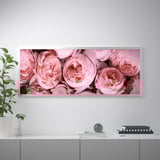 BJÖRKSTA Picture with frame, Pink peony/aluminium-colour, 140x56 cm