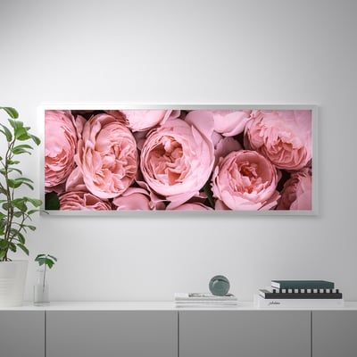 BJÖRKSTA Picture with frame, Pink peony/aluminium-colour, 140x56 cm