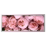 BJÖRKSTA Picture with frame, Pink peony/aluminium-colour, 140x56 cm