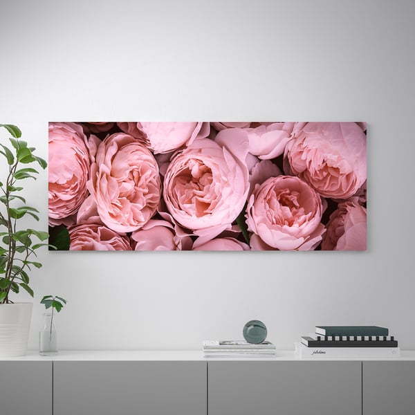 BJÖRKSTA Picture with frame, Pink peony/black, 140x56 cm