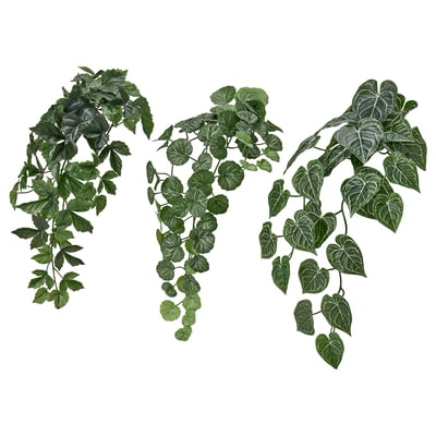 FEJKA Artificial plant, set of 3, with wall holder/in/outdoor green
