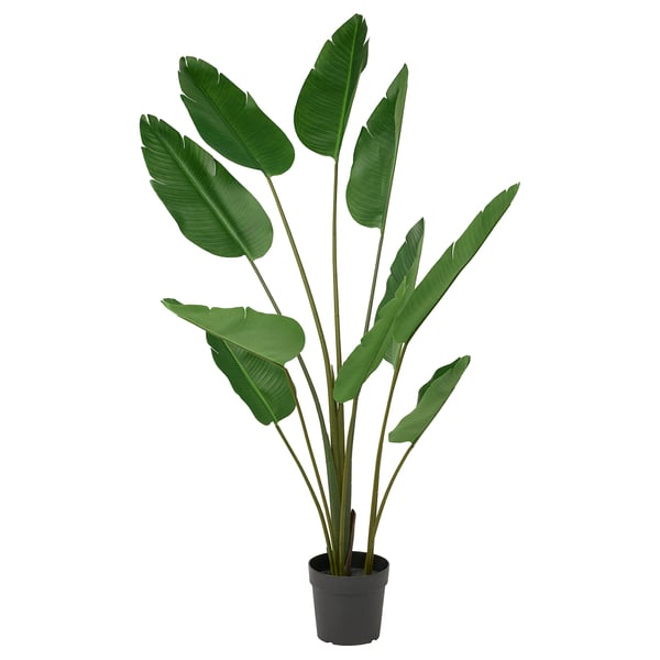 FEJKA Artificial potted plant, in/outdoor Bird of paradise, 23 cm