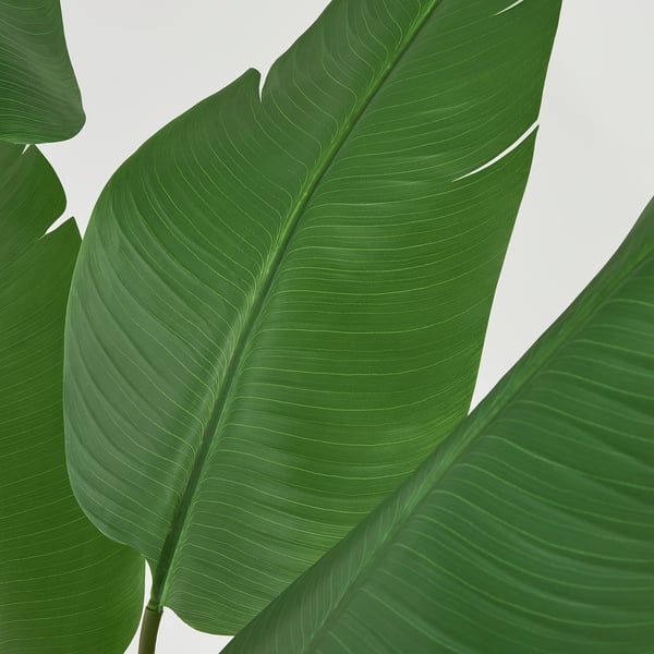 FEJKA Artificial potted plant, in/outdoor Bird of paradise, 23 cm