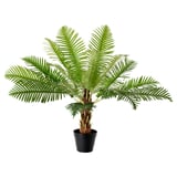 FEJKA Artificial potted plant, in/outdoor Fern palm, 17 cm