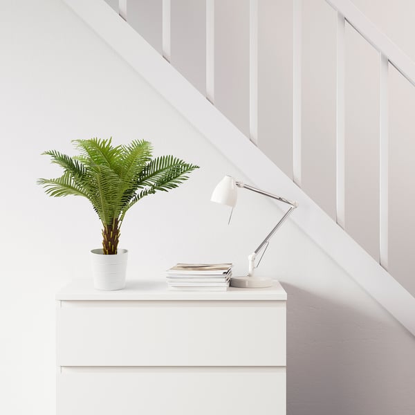 FEJKA Artificial potted plant, in/outdoor Fern palm, 17 cm