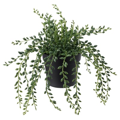 FEJKA Artificial potted plant, in/outdoor String of beads, 9 cm