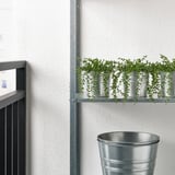 FEJKA Artificial potted plant, in/outdoor String of beads, 9 cm
