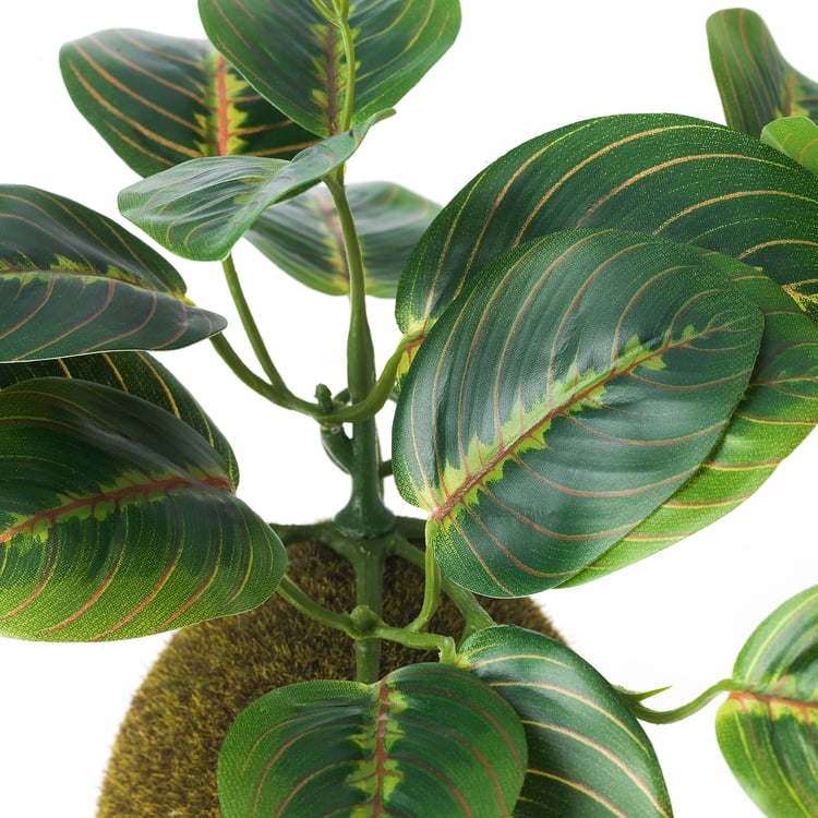 FEJKA artificial potted plant, moss, 9 cm IKEA