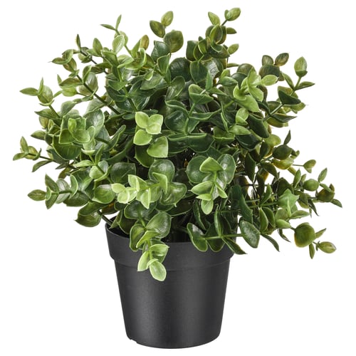 FEJKA artificial plant, green, potted in black container.