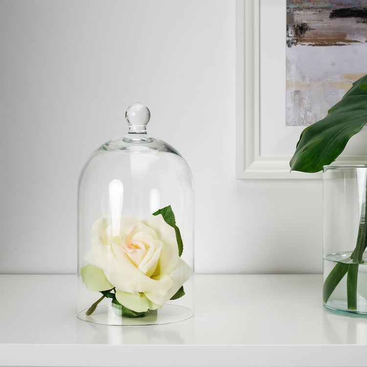 قبة زجاجية, زجاج شفاف, 25 سم IKEA قبة زجاجية, زجاج شفاف, 25 سم IKEA