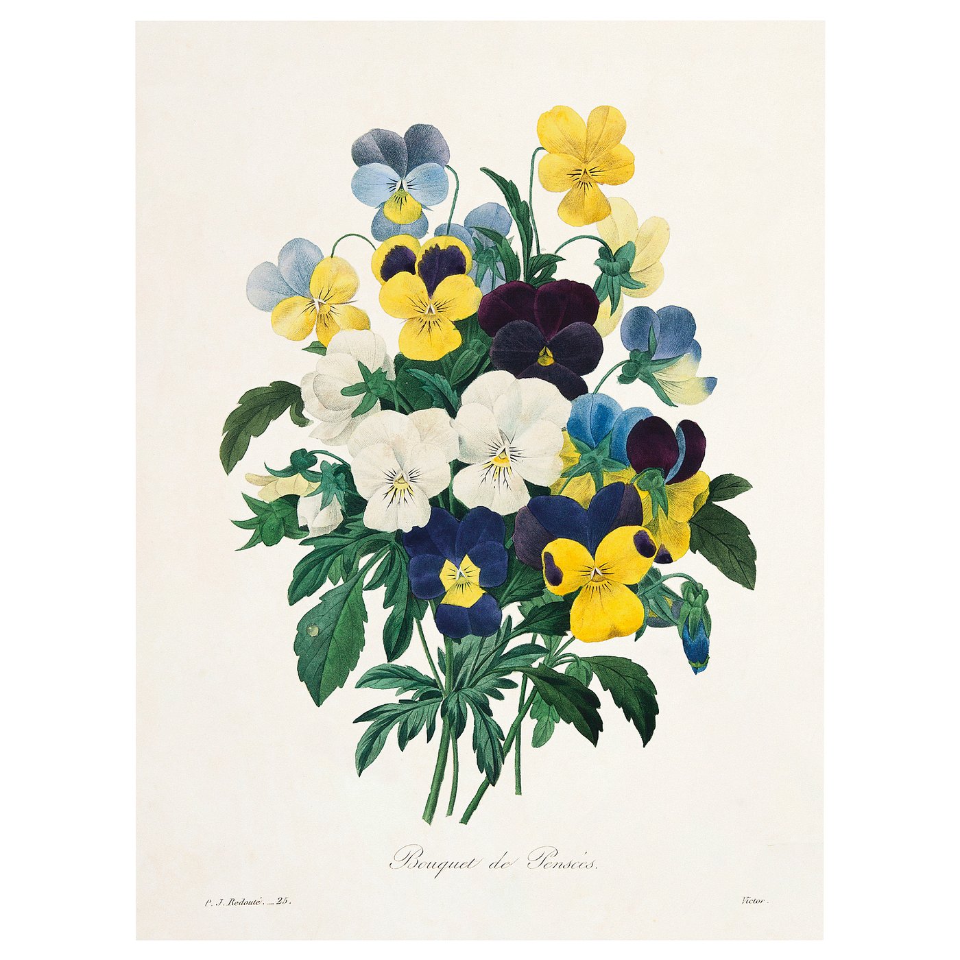PJÄTTERYD picture, Flowers, 30x40 cm - IKEA