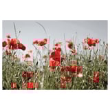 PJÄTTERYD Picture, red Field flowers, 118x78 cm