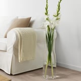 TIDVATTEN Vase, clear glass, 65 cm