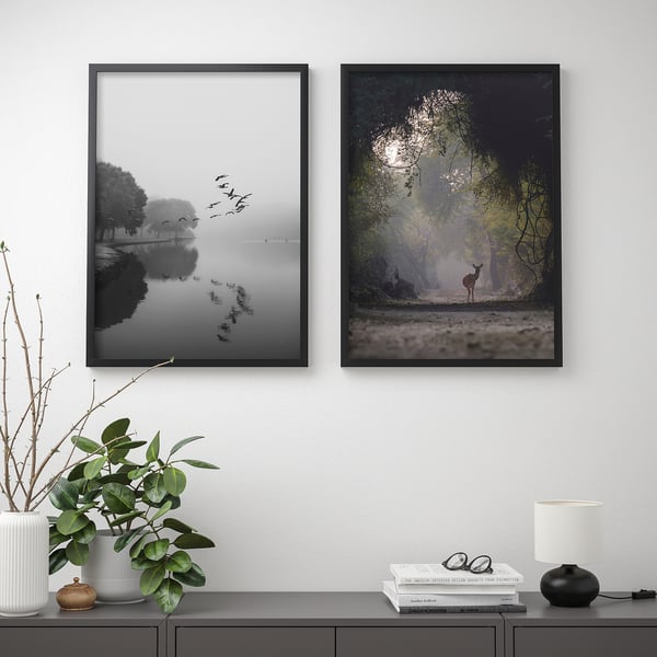 Dues fotos de natura emmarcades pengen en una paret sobre una taula amb una planta, llibres i una làmpada.