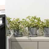 Tres plantes en test en una prestatgeria blanca contra una paret blanca. Els testos tenen platets i forats de desguàs, adequats tant per a ús interior com exterior.