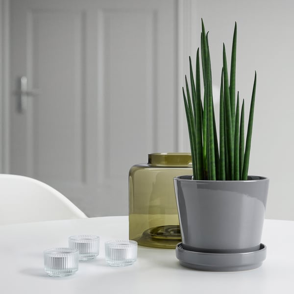 Jardinera de gres gris CITRUSFRUKT amb planta i dues espelmes de vidre transparent sobre una taula blanca.