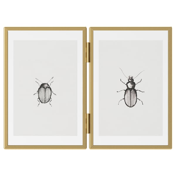 Dues obres d'art emmarcades en or amb il·lustracions detallades d'escarabats negres.
