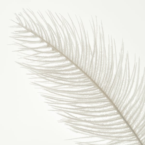 SMYCKA Branca artificial, interior/exterior/beix, 65 cm