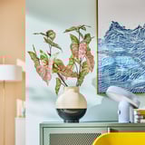 SMYCKA Flor artificial, interior/exterior caladium, 72 cm
