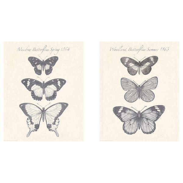 Bild Poster Butterflies 40x50 Cm Ikea